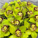 /fileuploads/Produtos/Composições Florais/thumb__taca_orquideas_01_03.jpg